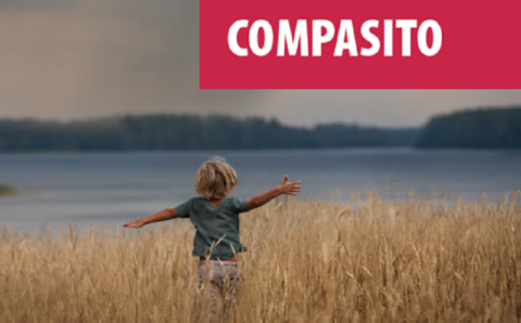 Cartel del curso de formación Compasito