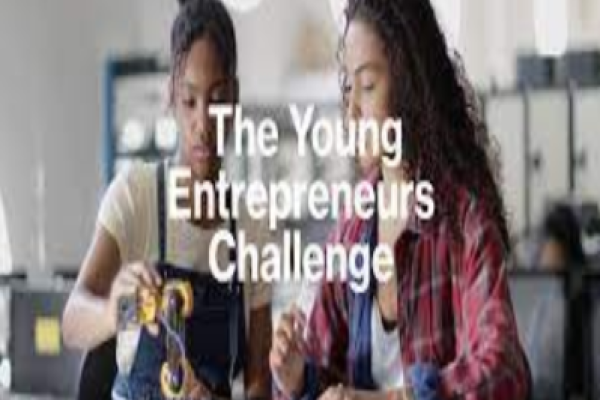 Imagen The Young Entrepreneurs Challenge 
