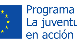 Logo Programa La juventud en acción
