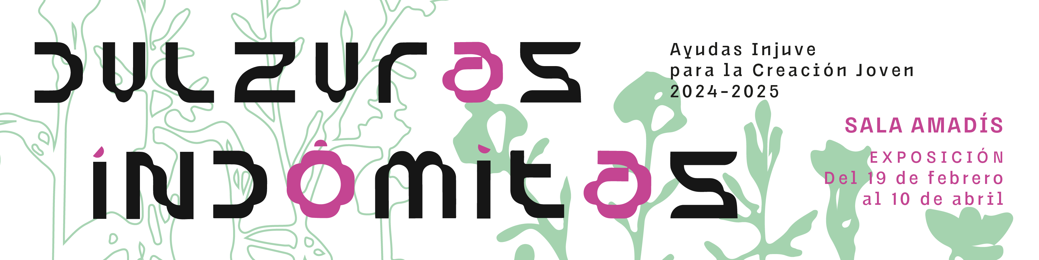 Dulzuras indómitas. Ayudas Injuve para la Creación Joven 2024-2025. Sala Amadís. Exposición del 19 de febrero al 10 de abril