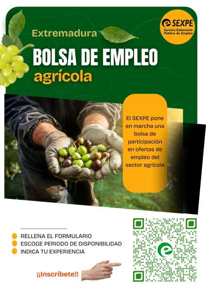 cartel