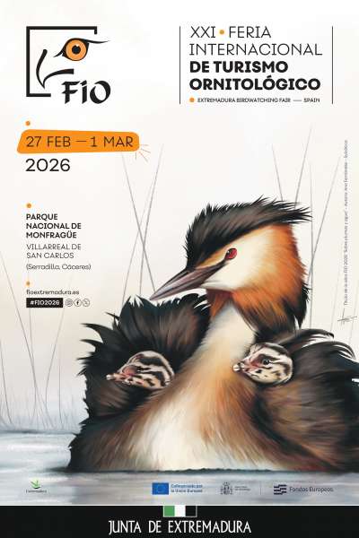 Cartel XXI Feria Internacional