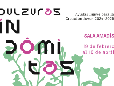 Dulzuras indómitas. Ayudas Injuve para la Creación Joven 2024-2025. Sala Amadís. 19 de febrero al 10 de abril