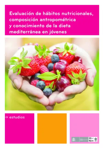 Portada Estudio Injuve
