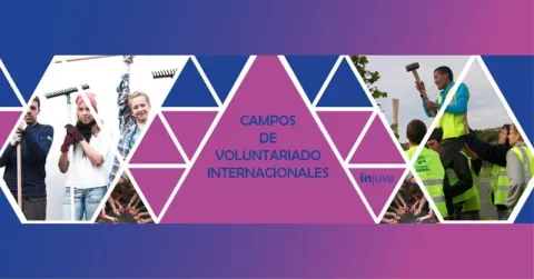 Campos de Voluntariado Internacionales