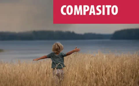 Cartel del curso de formaci&oacute;n Compasito