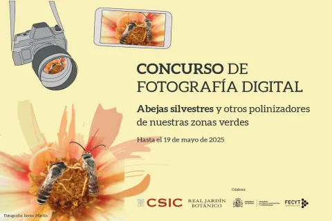 Imagen Concurso de Fotografía Abejas Silvestres y otros Polinizadores de nuestras Zonas Verdes