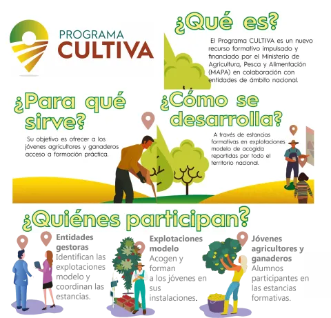 cartel