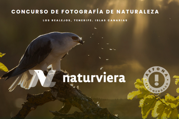 Imagen II Concurso Internacional de Fotografía de Naturaleza NaturViera 